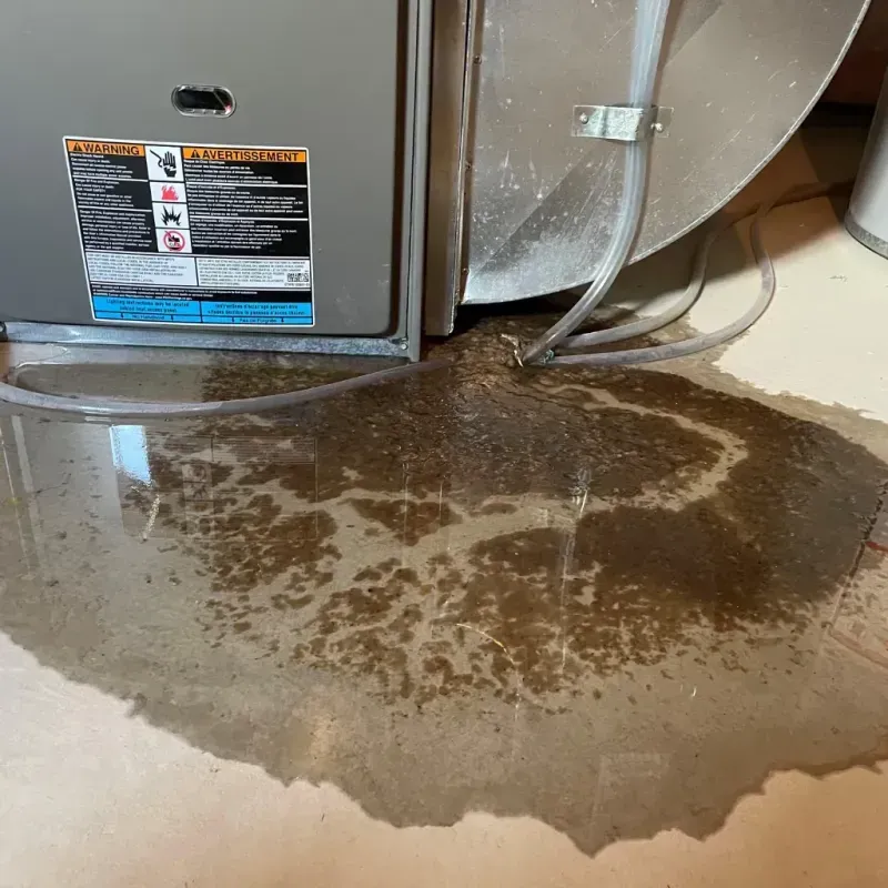 Appliance Leak Cleanup in Pleasant Valley, MO